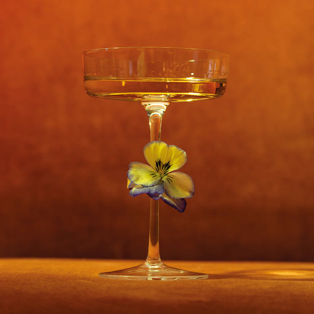 16 cl - Sam Calice Cocktail Martini In Vetro Set 4 Pz - Image 4