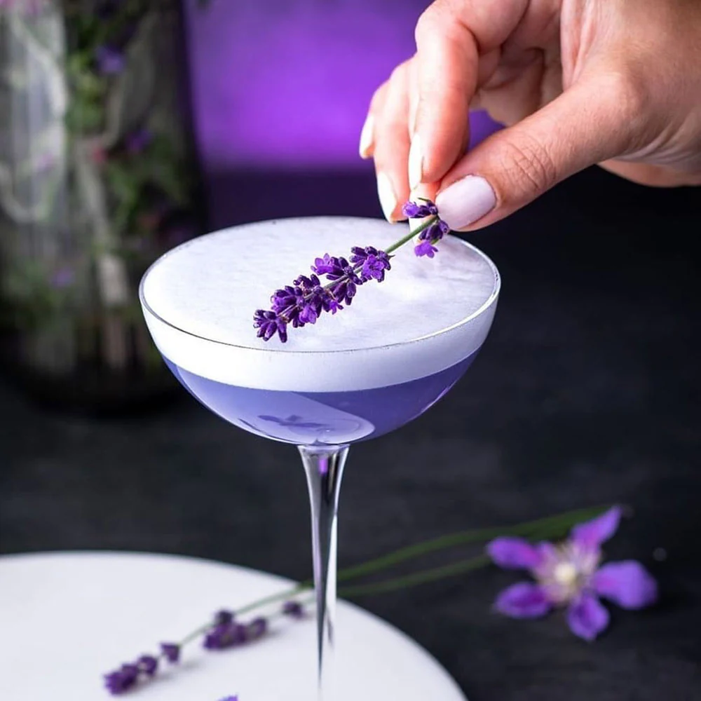 19.5 cl - Hepburn Calici Cocktail Coupe In Vetro Set 6 Pz - Image 7