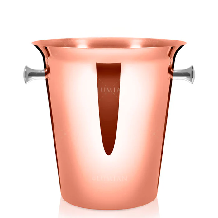 Ø 21 x H 22  cm - Dionisio Secchiello Champagne Per 1 Bottiglia In Acciaio Inox