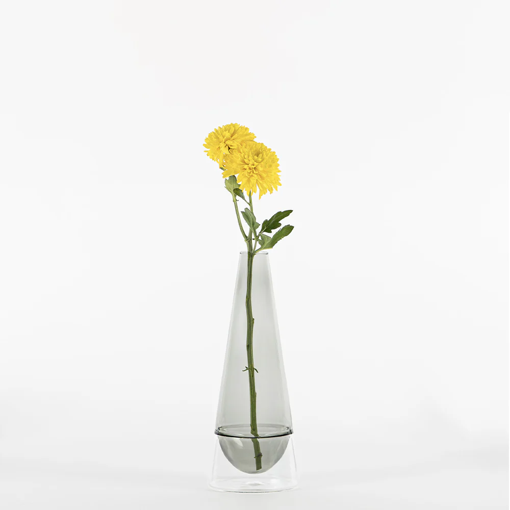 25 cm - Conosfera Vaso Fiori In Vetro Borosilicato - Image 7