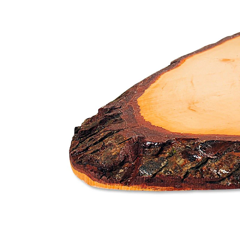35x18 cm - Corteccia Vassoio Con Manico In Legno - Image 2