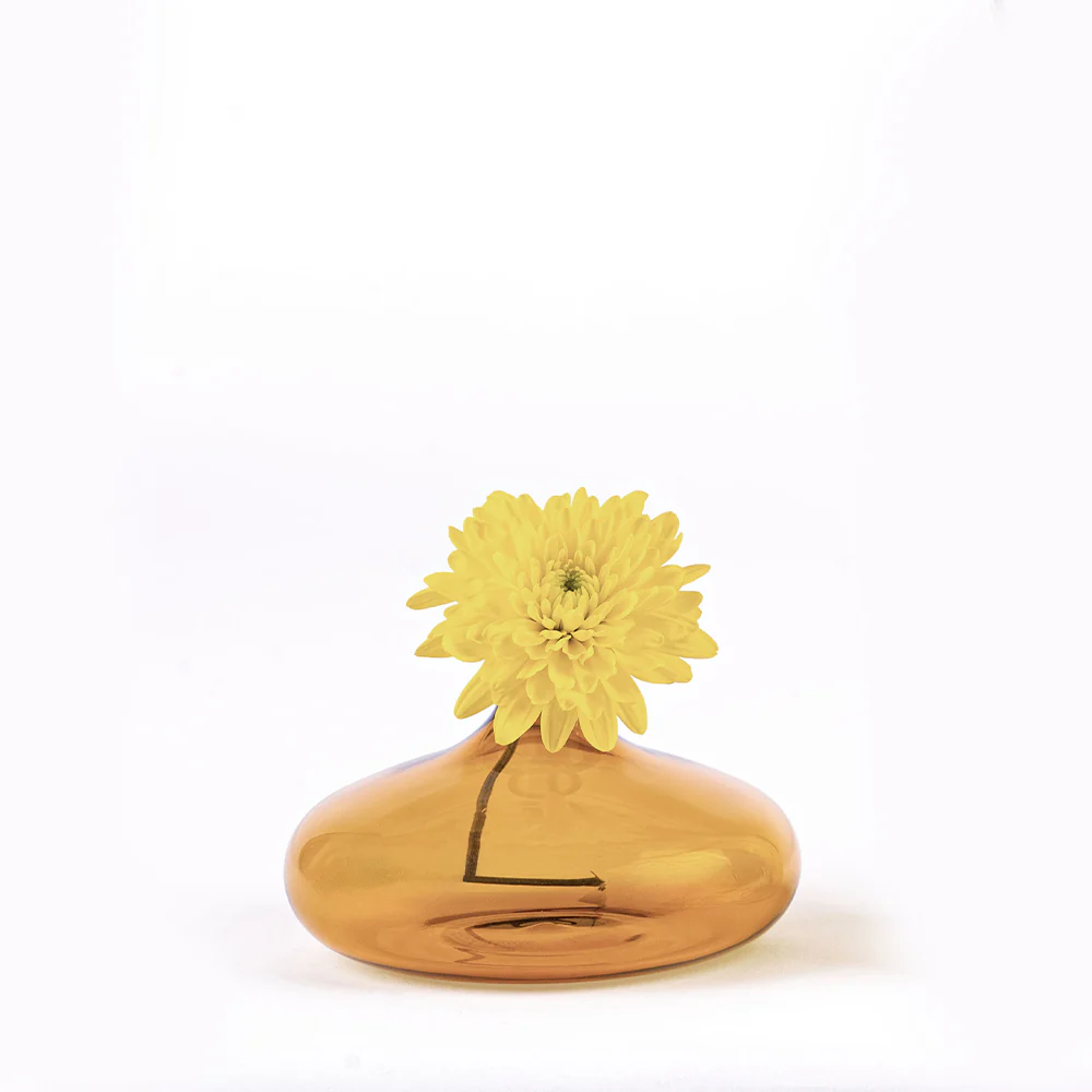 6 cm - Un Fiore Vaso Fiori In Vetro Borosilicato - Image 3
