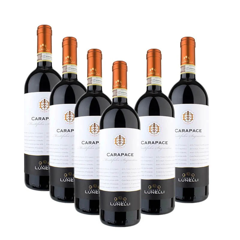 Carapace Montefalco Sagrantino DOCG 2019 Tenute Lunelli - Image 3