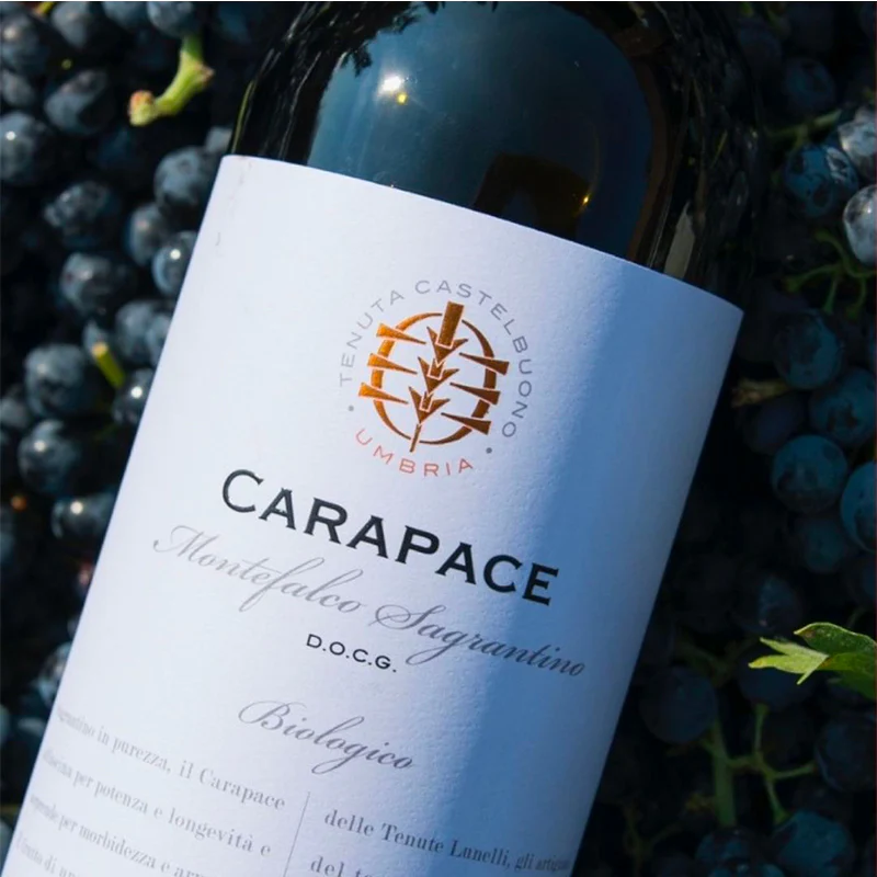 Carapace Montefalco Sagrantino DOCG 2019 Tenute Lunelli - Image 5