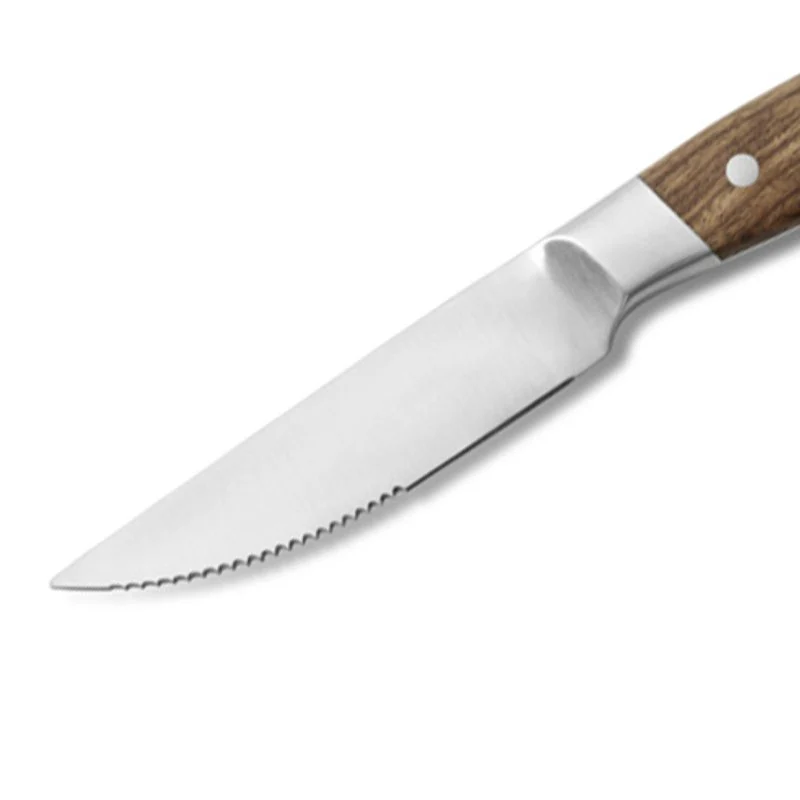 Aconcagua Coltello Bistecca In Acciaio Inox - Set 6 Pz - Image 2