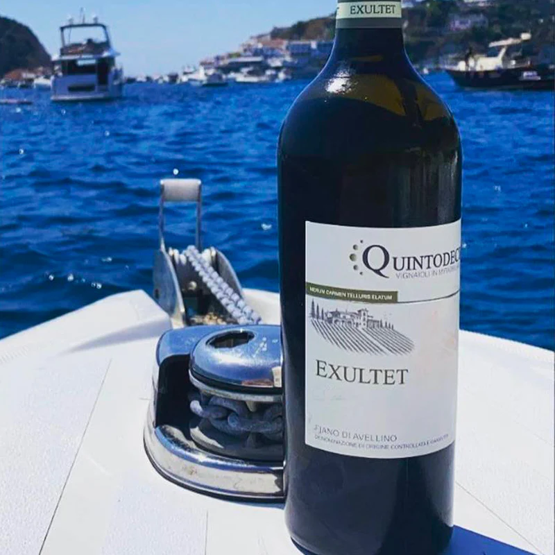 Exultet Fiano di Avellino DOCG 2023 Cantina Quintodecimo - Image 2