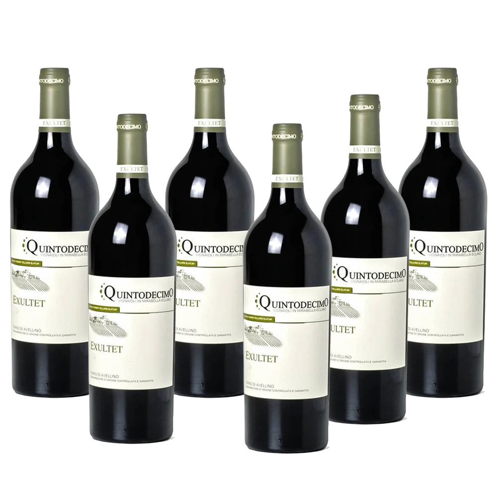 Exultet Fiano di Avellino DOCG 2023 Cantina Quintodecimo - Image 3