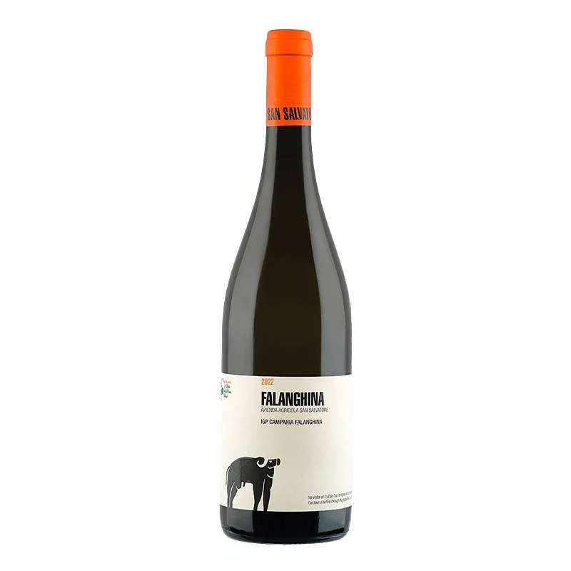 Falanghina Campania IGT 2023 Cantina San Salvatore 1988
