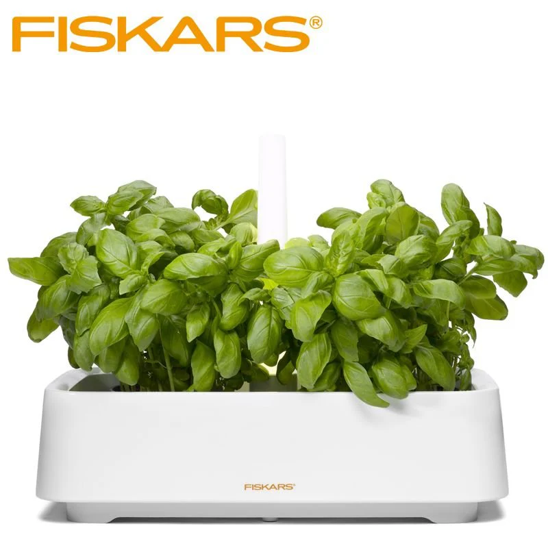 Herb Contenitore Per Erbe Aromatiche Rettangolare In Polistirene - Image 3