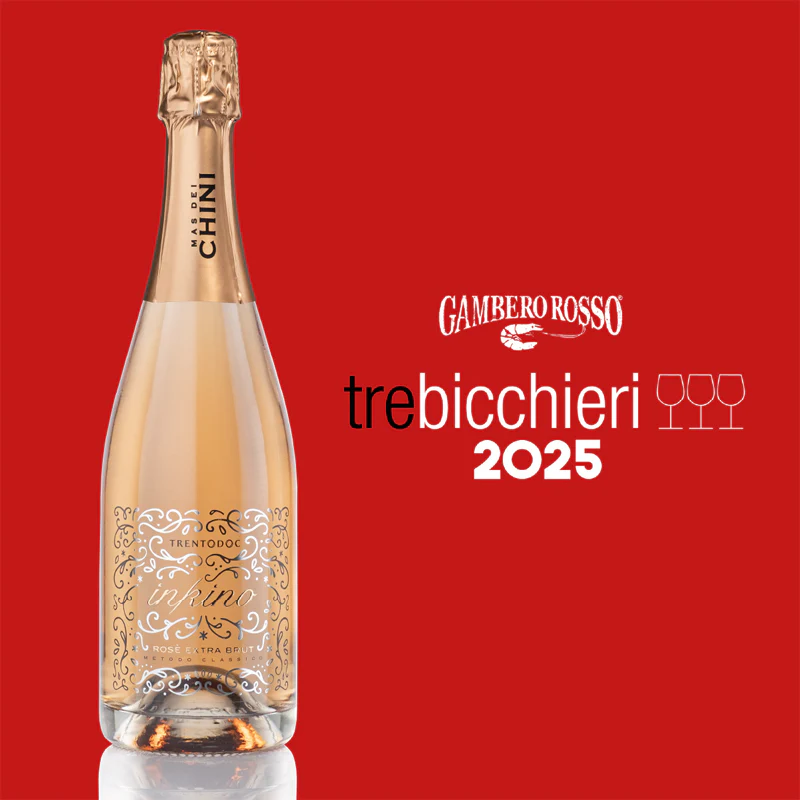 Inkino Rosé Extra Brut M.C. Trento DOC 2020 Cantina Mas Dei Chini - Set 2 Calici Italesse Etoile Sparkle 48 cl - Image 4