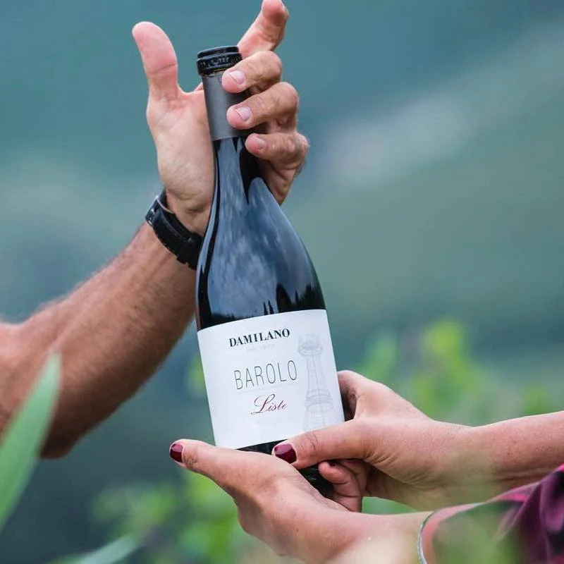 Liste Barolo DOCG 2018 Damilano Azienda Agricola - Image 2