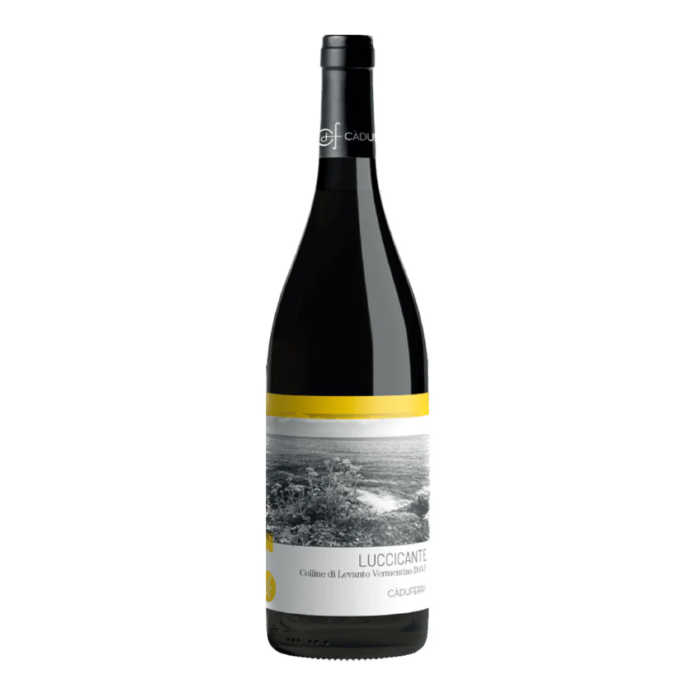 Luccicante Vermentino Colline di Levanto DOP 2024 - Cà Du Ferrà