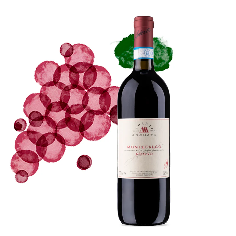 Montefalco Montefalco Rosso DOC 2019 Azienda Agricola Adanti - Image 2