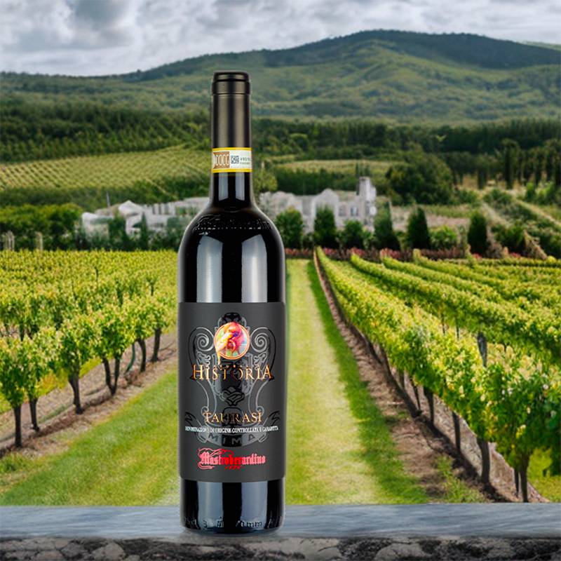 Naturalis Historia Taurasi DOCG Riserva 2016 Cantine Mastroberardino - Image 2