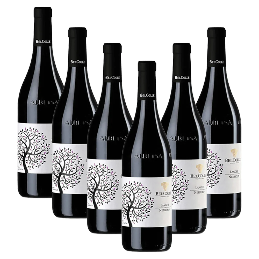 Nebbiolo Langhe DOC 2024 - Bel Colle - Image 5