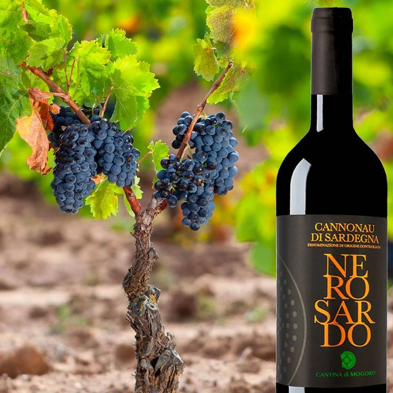 Nero Sardo Cannonau di Sardegna DOC 2016 Cantina di Mogoro - Image 2