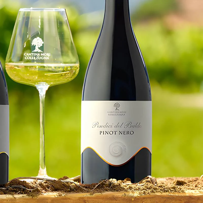 Pendici Del Baldo Trentino DOC 2020 Cantina Mori Colli Zugna - Image 2