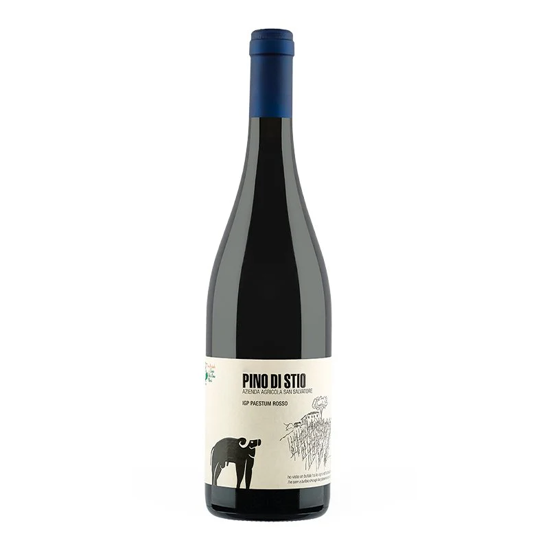 Pino Di Stio Paestum IGP 2020 Cantina San Salvatore 1988