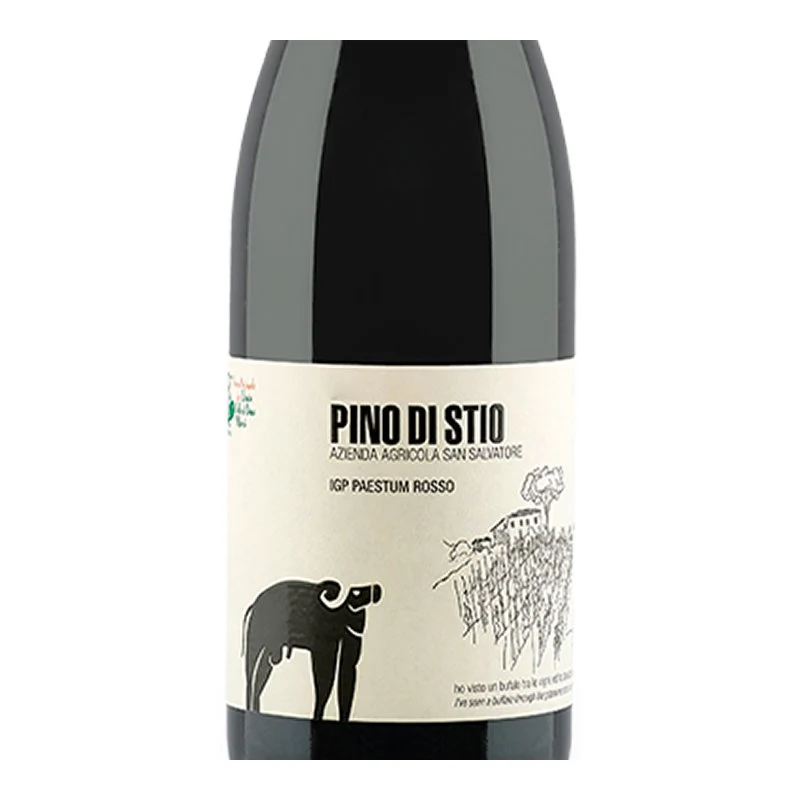 Pino Di Stio Paestum IGP 2020 Cantina San Salvatore 1988 - Image 2