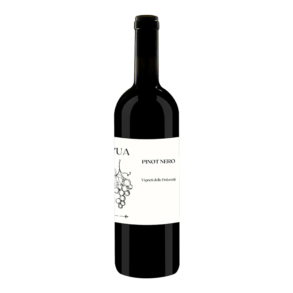 Pinot Nero Vigneti Delle Dolomiti IGT 2023 - L'Ua