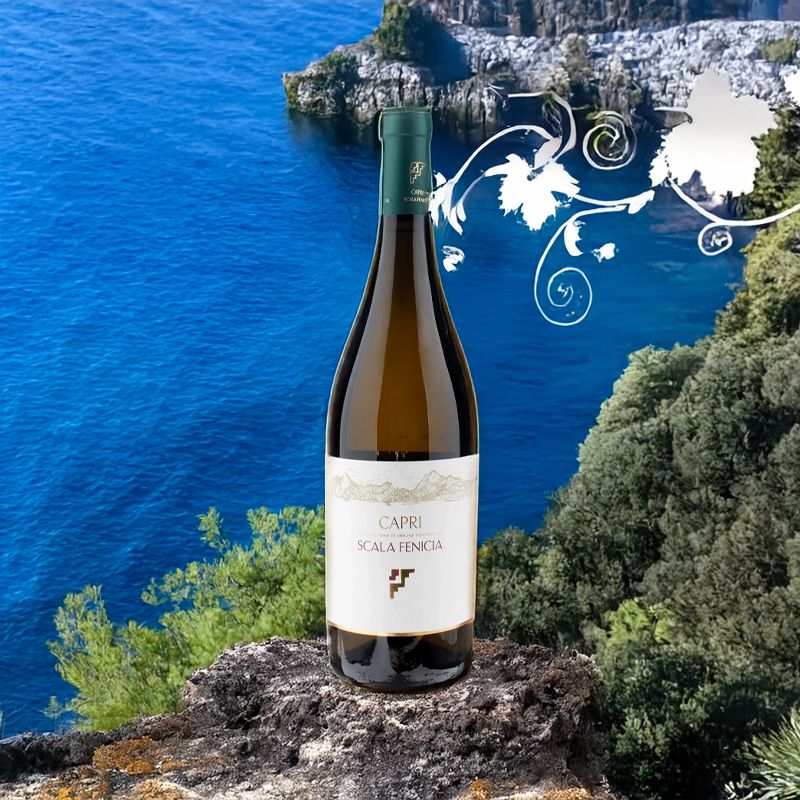 Scala Fenicia Capri DOC 2021 Scala Fenicia - Image 2