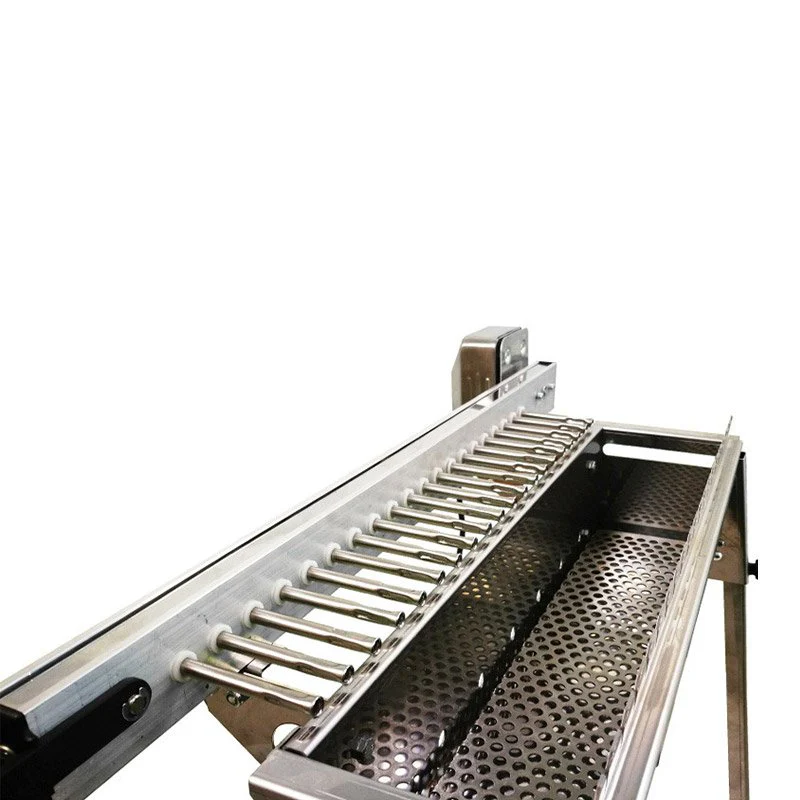 20 Single Griglia A Carbone Con Giraspiedini Automatico - Image 4