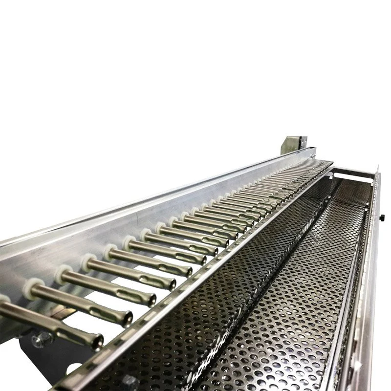 40 Single Griglia A Carbone Con Giraspiedini Automatico - Image 3
