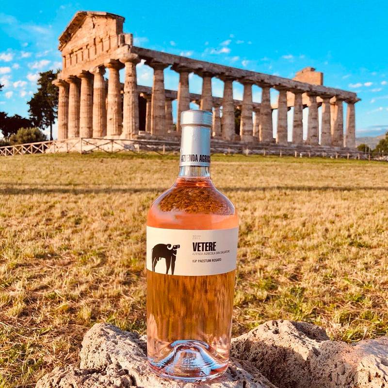 Vetere Rosato Paestum IGP 2024 Cantina San Salvatore 1988 - Image 2